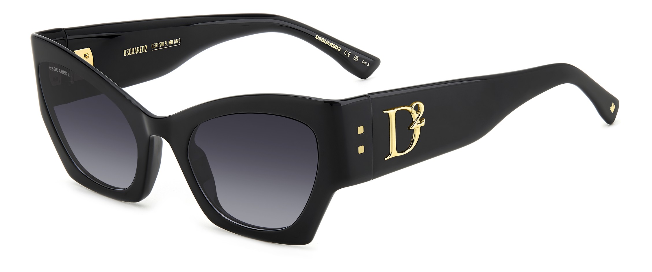 картинка Dsquared2 D2 0132/S 807